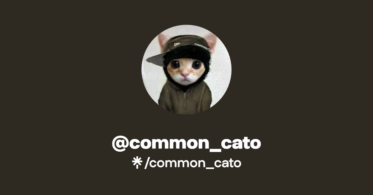common_cato Linktree