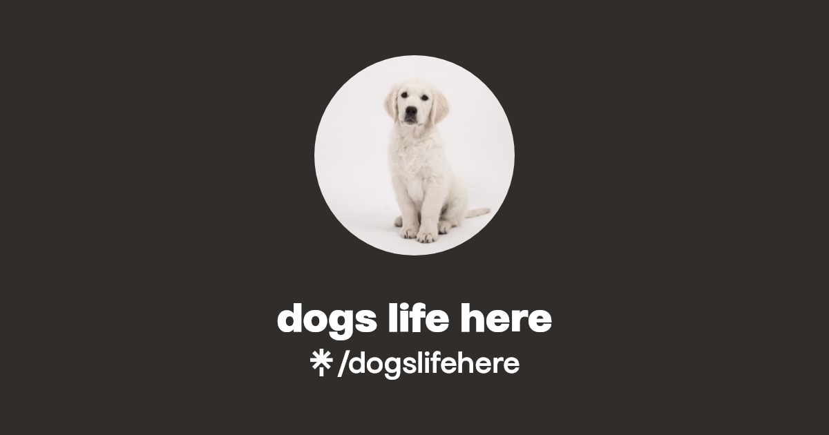 dogs life here Linktree