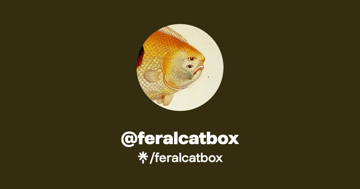 feralcatbox TikTok Linktree