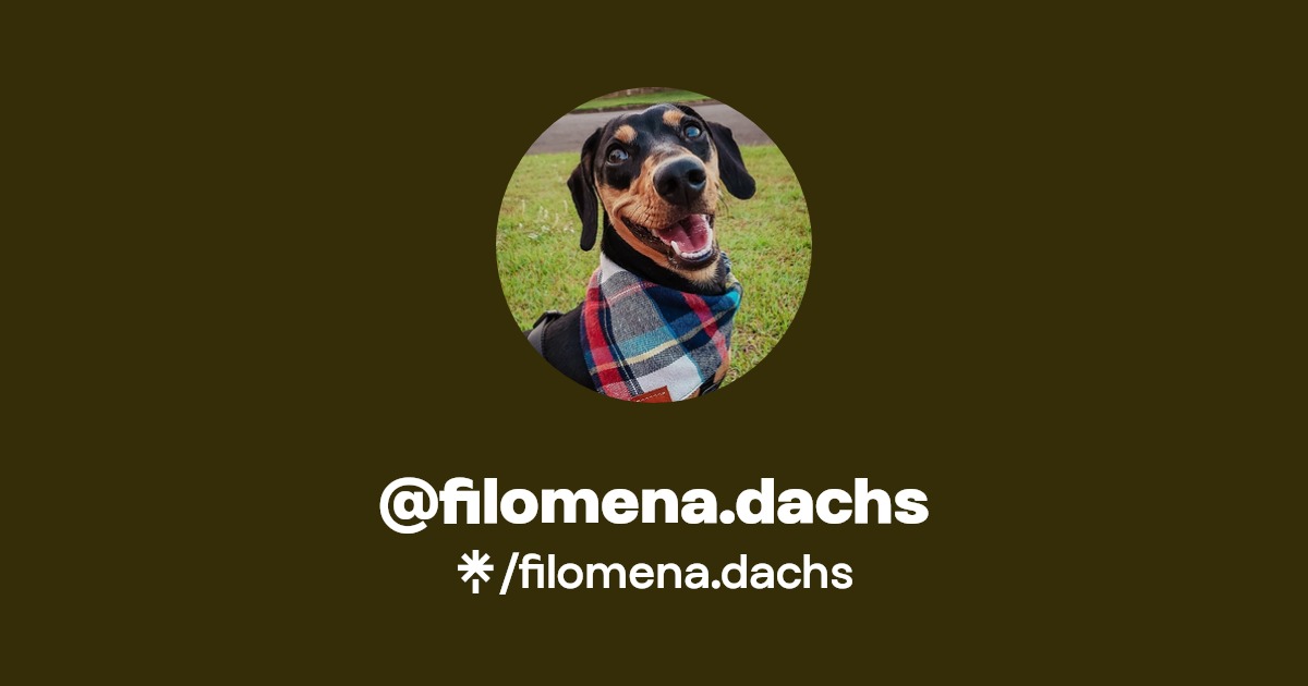filomena.dachs Latest Instagram Links