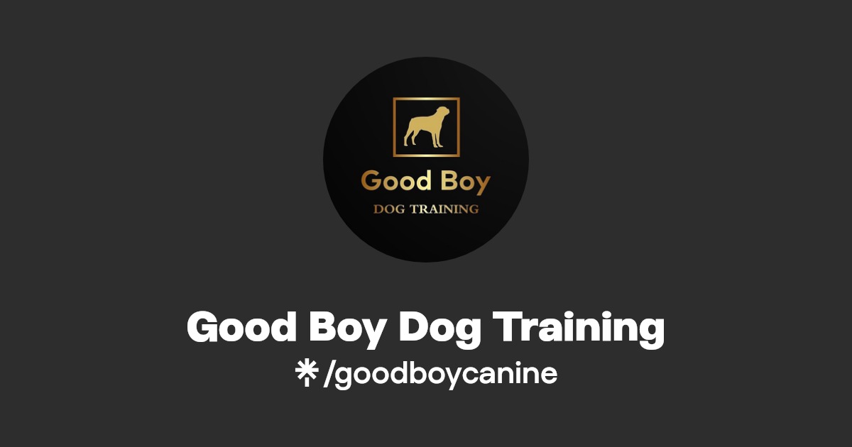Good Boy Dog Training Instagram, TikTok Linktree