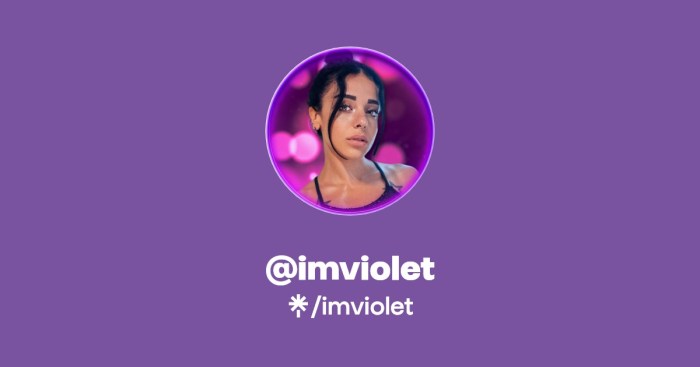 imviolet | TikTok, Instagram, Twitch | Linktree 17 an hour is how much a year