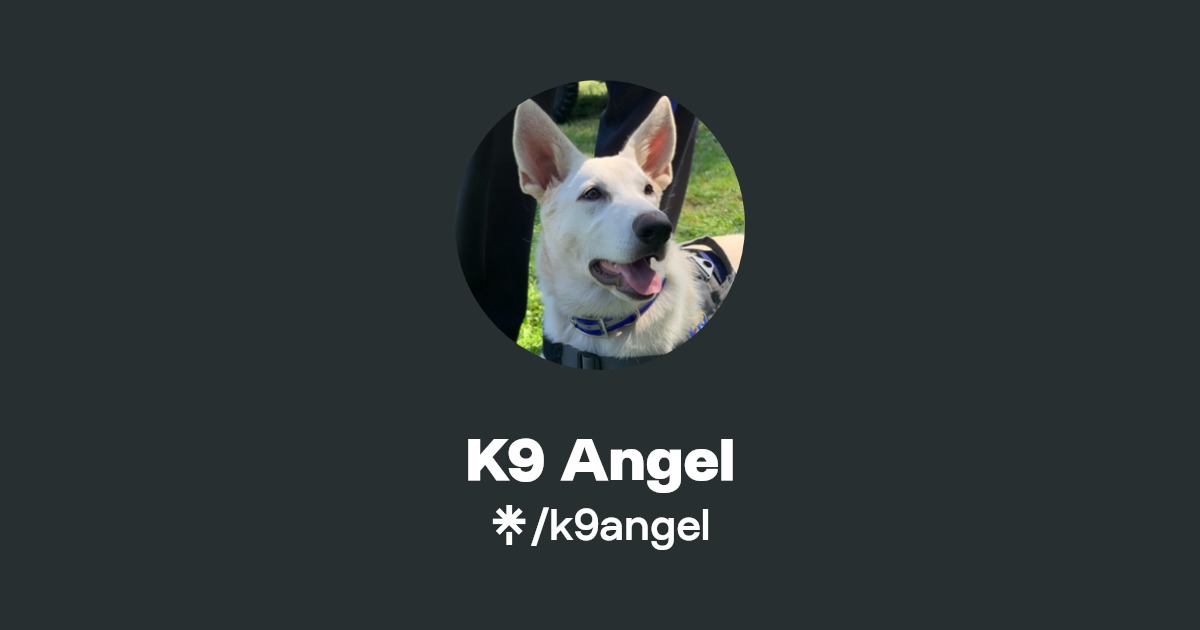 K9 Angel Instagram, TikTok Linktree