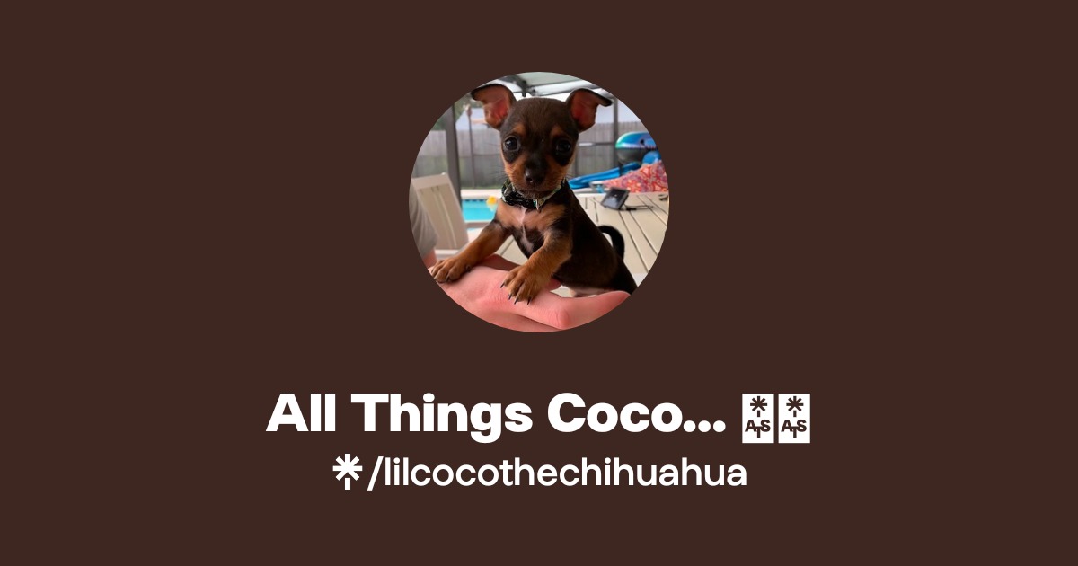 All Things Coco… 🥥🐾 | Instagram, TikTok | Linktree