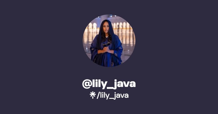 lily_java | TikTok | Linktree Lily java net worth 2022