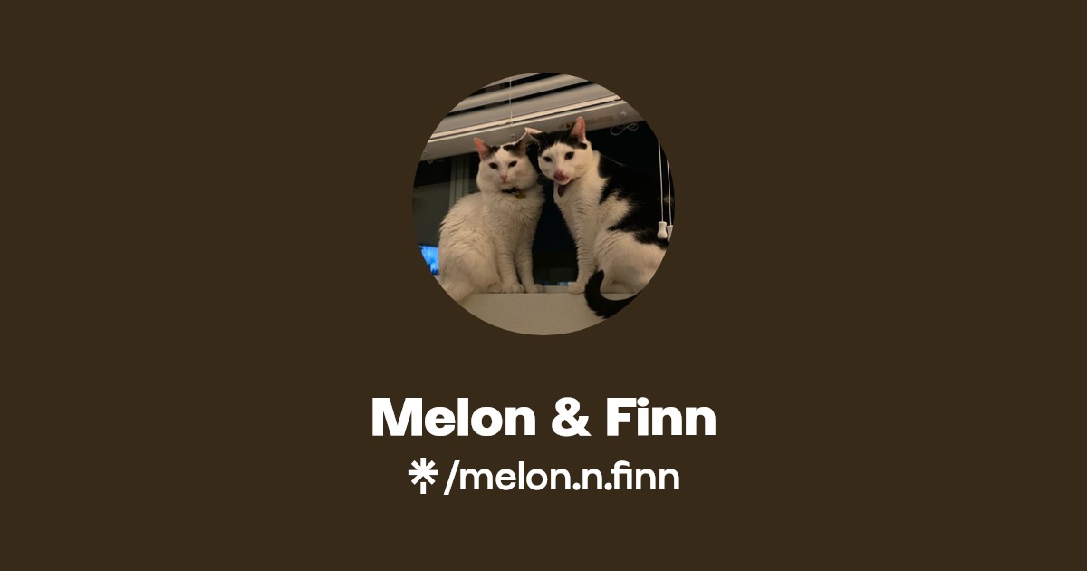 Melon & Finn Instagram, TikTok Linktree