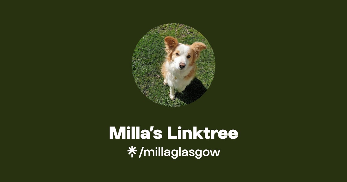 Milla’s Linktree | Instagram | Linktree