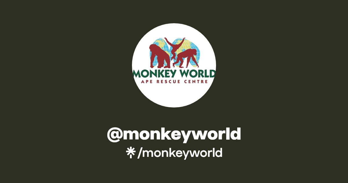 monkeyworld Facebook Linktree