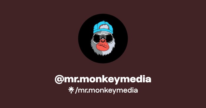 MonkeyMedia Software Announces MonkeyAPI - FSR magazine