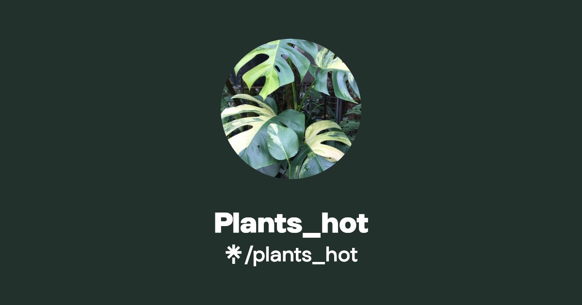 Plants_hot Linktree
