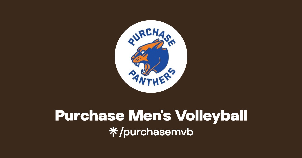 Purchase Men's Volleyball Instagram Linktree