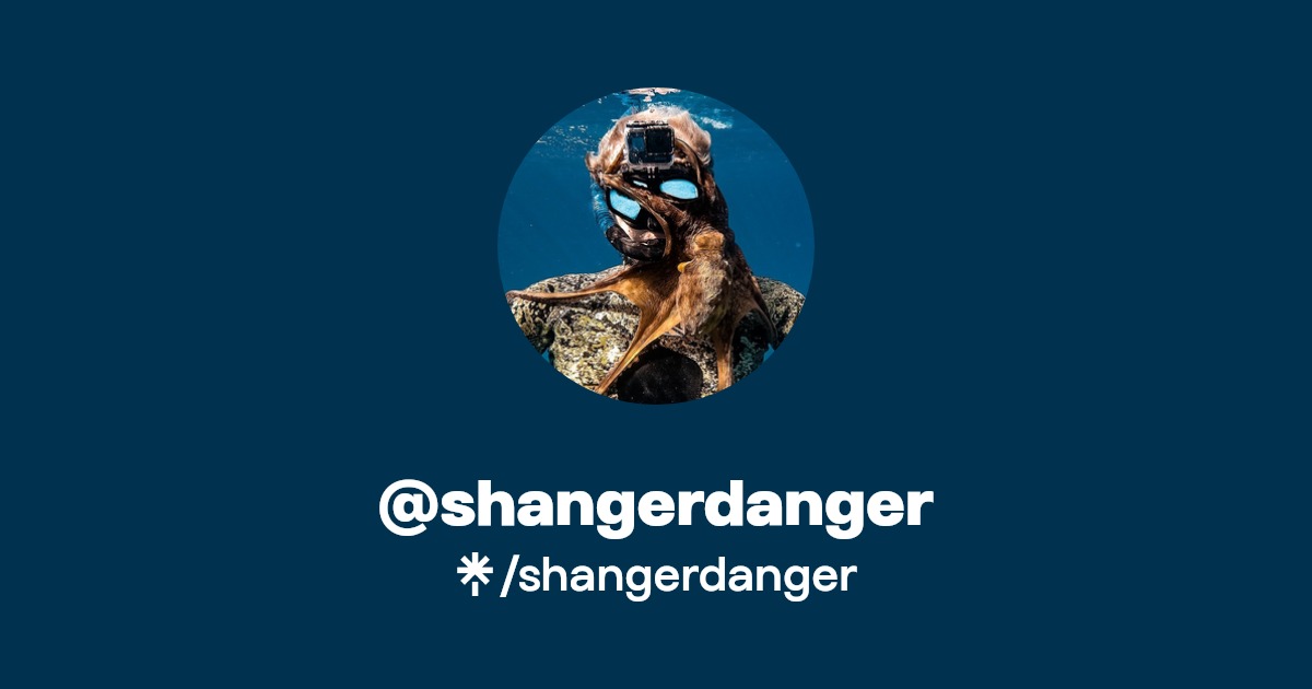 shangerdanger | Instagram, TikTok, Twitch | Linktree