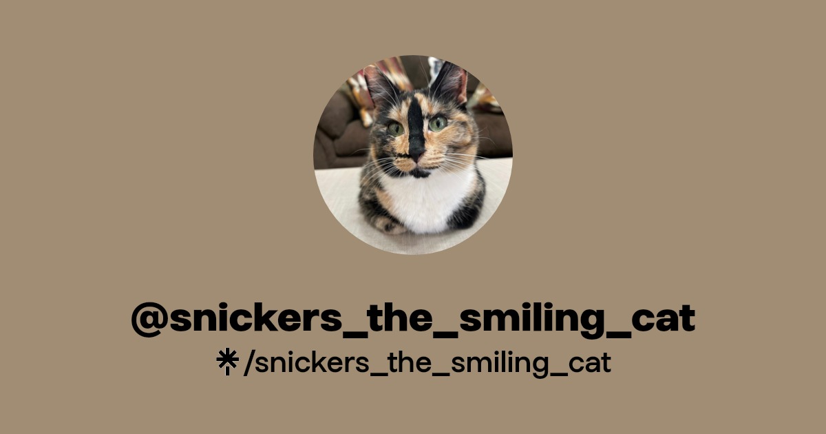 snickers_the_smiling_cat Instagram, TikTok Linktree