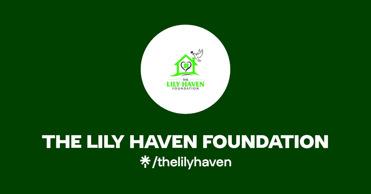 THE LILY HAVEN FOUNDATION Instagram Linktree