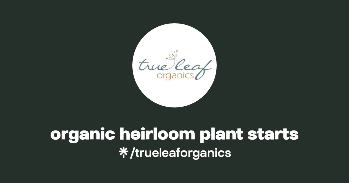 organic heirloom plant starts Instagram, Facebook Linktree