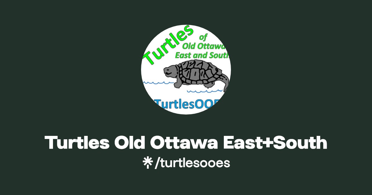 Turtles Old Ottawa East+South Facebook Linktree