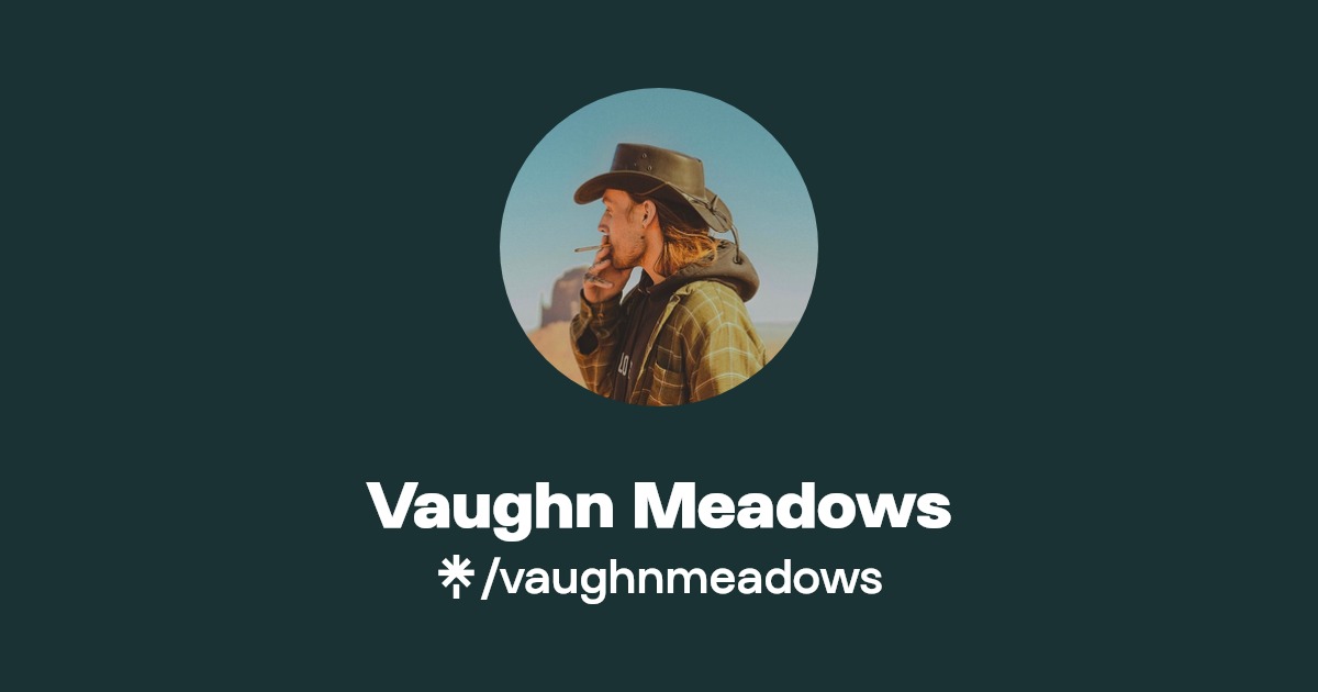 Vaughn Meadows Twitter, Instagram Linktree