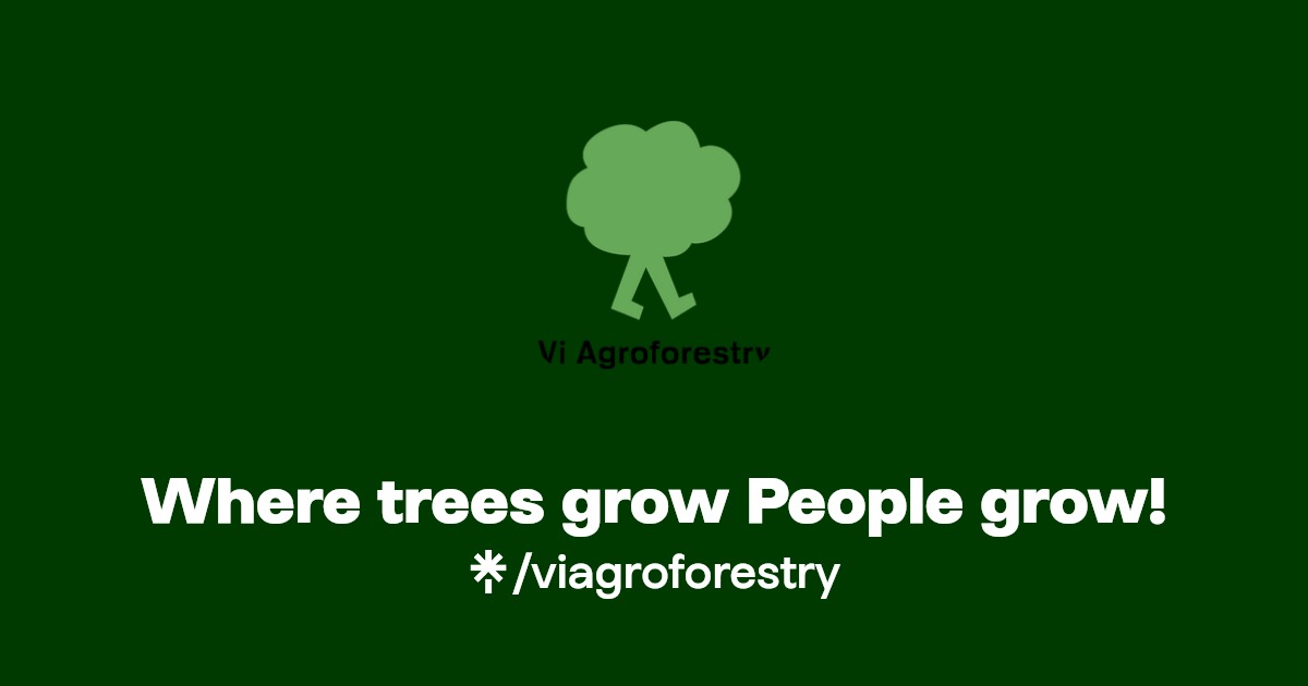 Where trees grow People grow! Twitter, Instagram Linktree