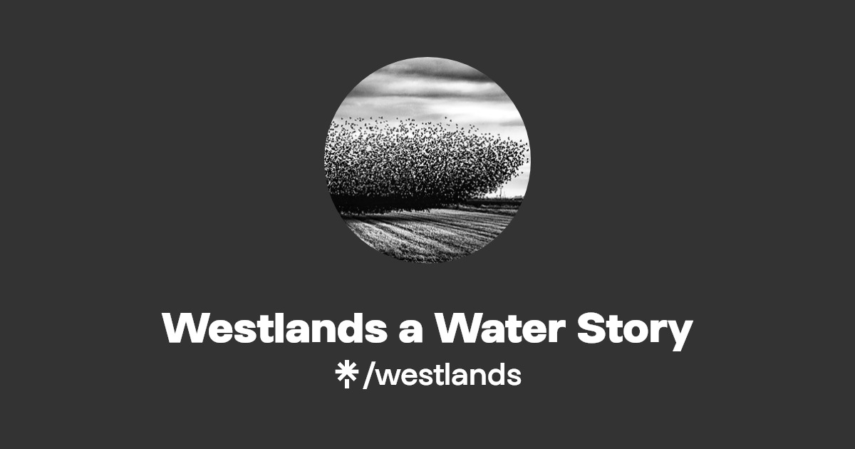 Westlands a Water Story Linktree