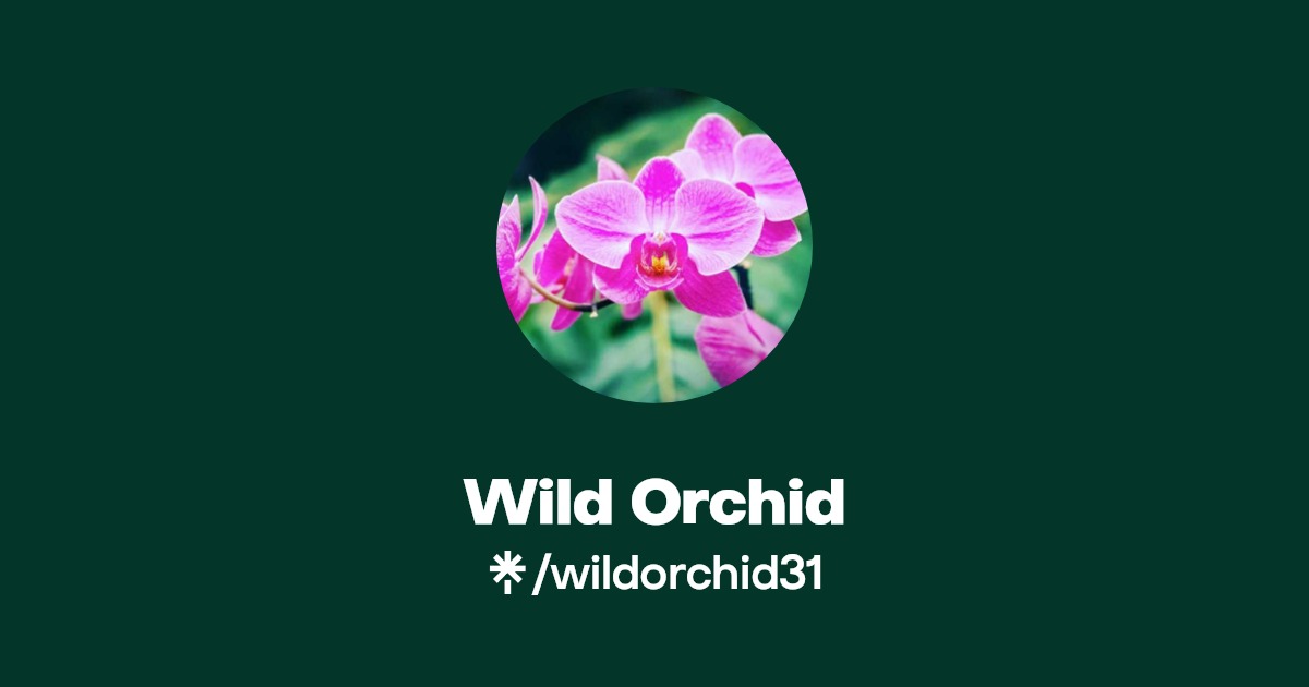 Wild Orchid - Find Wild Orchid Onlyfans - Linktree