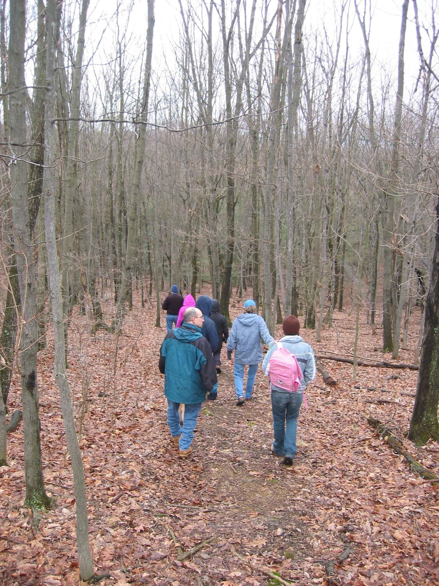 Shamokin Mountain Trail Merrill W. Linn Land & Waterways Conservancy