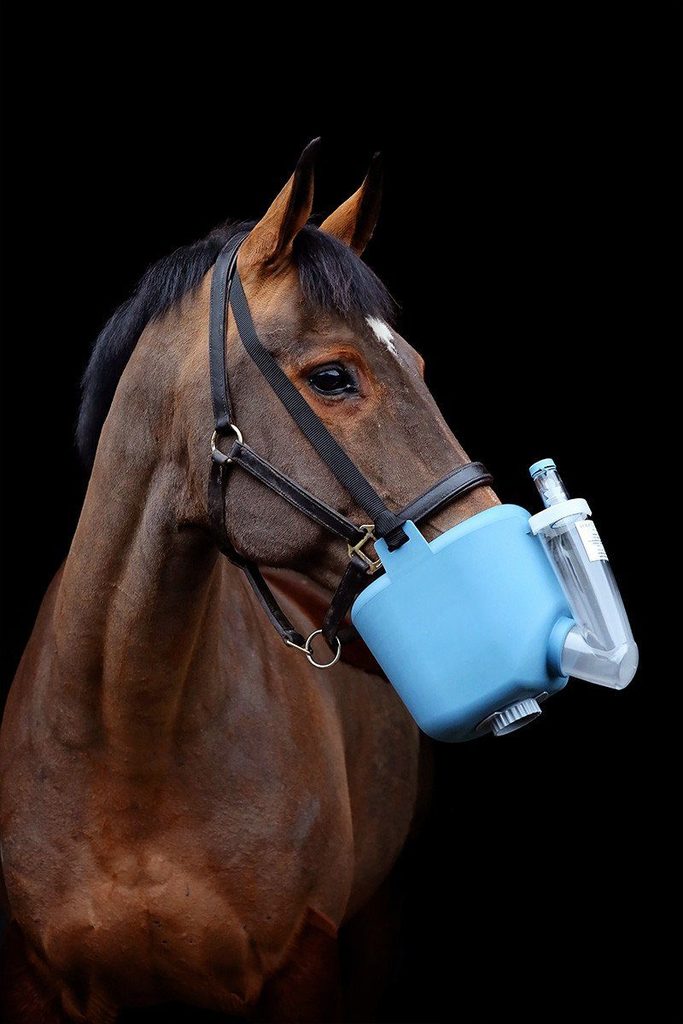 Inhaliergerät für Pferde Wann ist es notwendig? Linscheid Lab