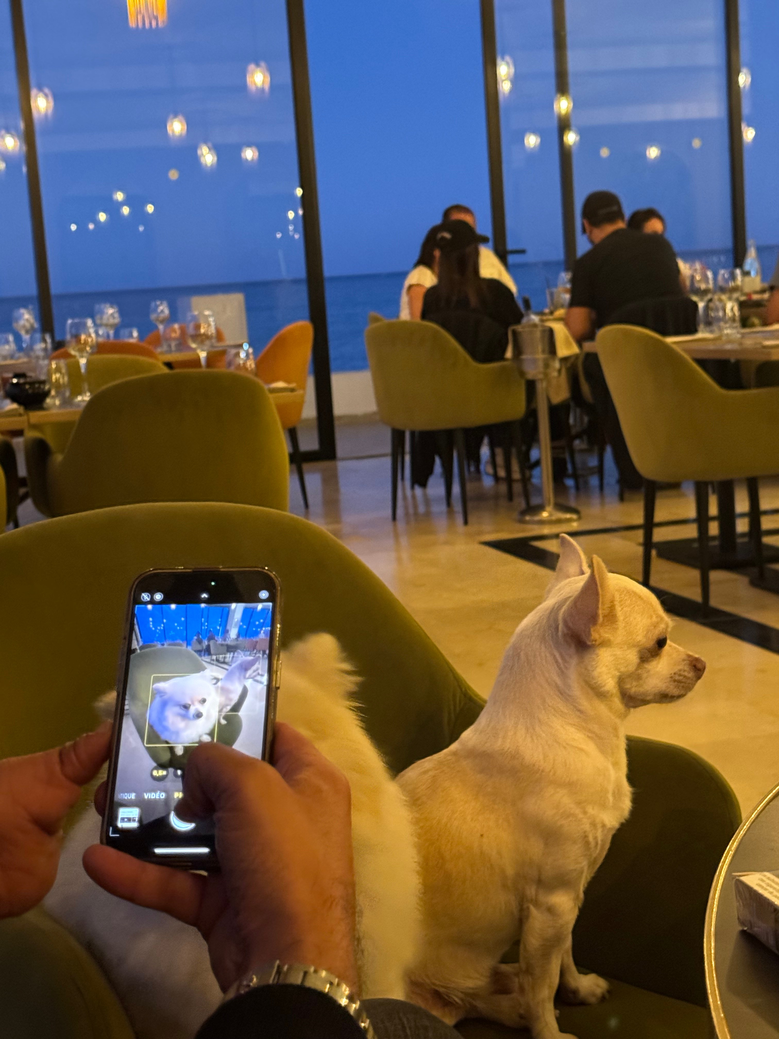 L'instantm Hôtel Jalta Bizerte Une adresse incontournable pour un