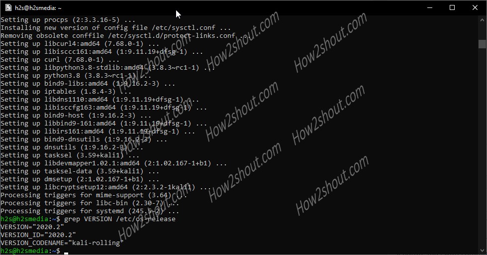 How to upgrade Kali Linux running on WSL (Windows subsystem for Linux