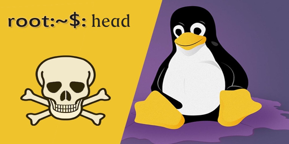 如何在Linux中使用head命令 linux资讯