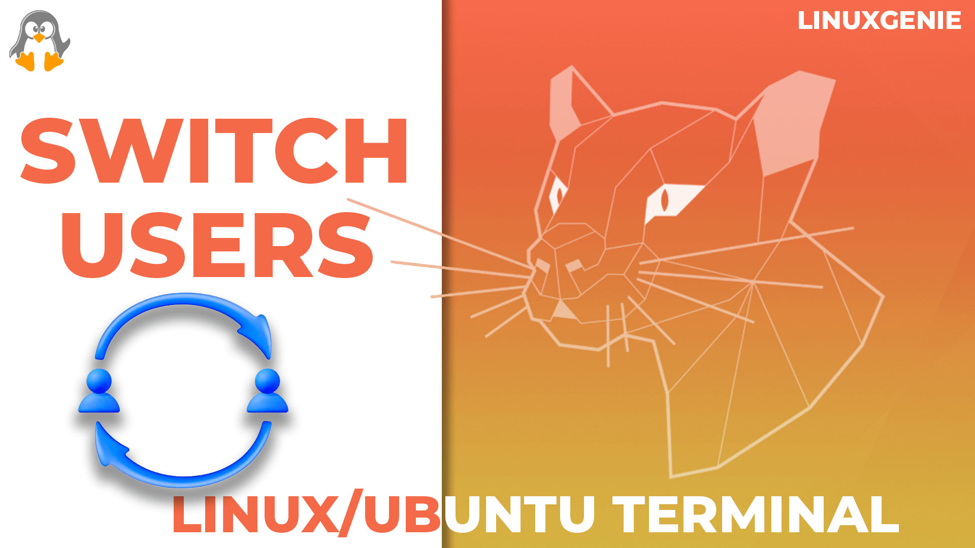 How to Switch Users in Linux/Ubuntu Terminal? Linux Genie