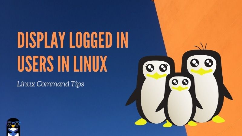 How to see Logged in Users in Linux [4 Simple Ways]