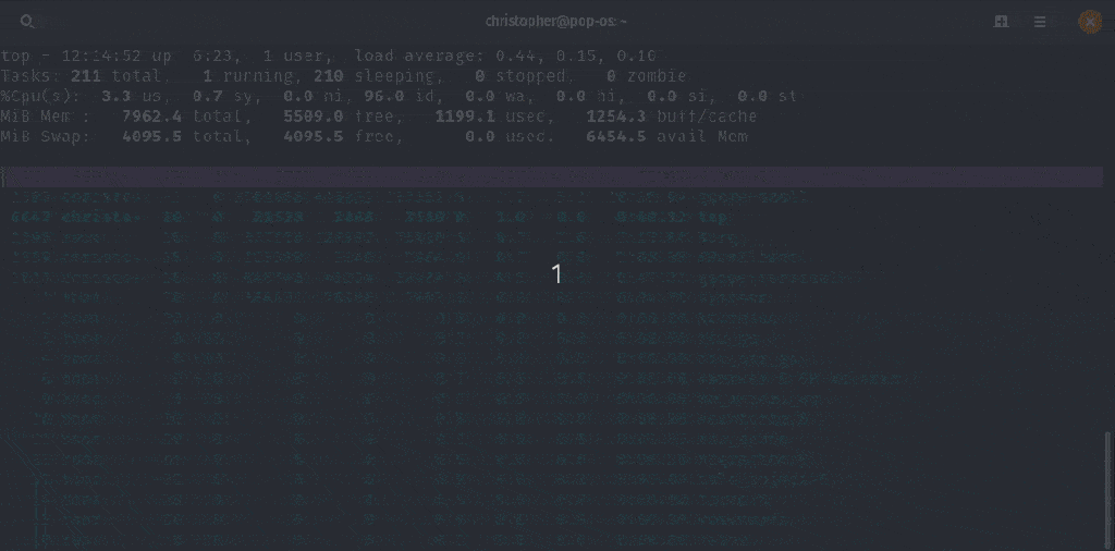 Using the Top Command as Task Manager in Linux