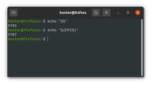 How to Find Process ID (PID and PPID) in Linux