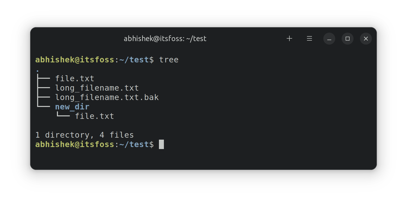 tree Command Examples in Linux