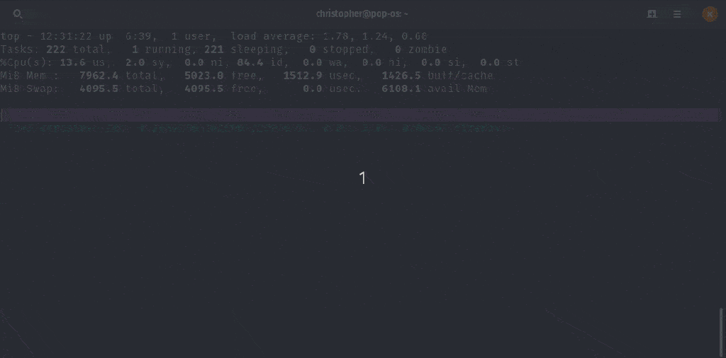 Using the Top Command as Task Manager in Linux
