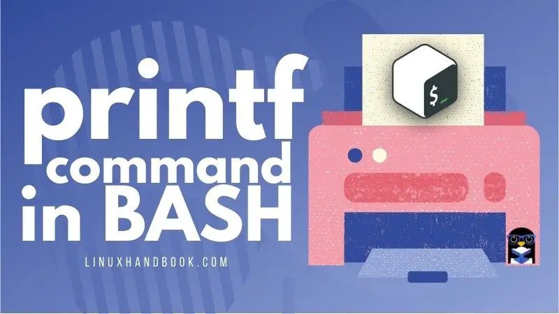 How to Split String into Array in Bash [Easiest Way]