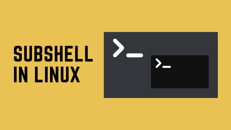 How to Split String into Array in Bash [Easiest Way]
