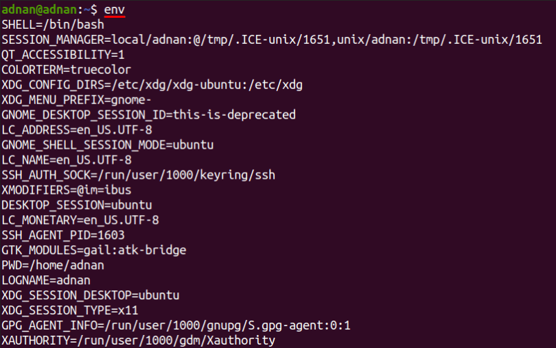 What are Bash Environment Variables