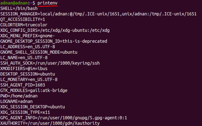 What are Bash Environment Variables