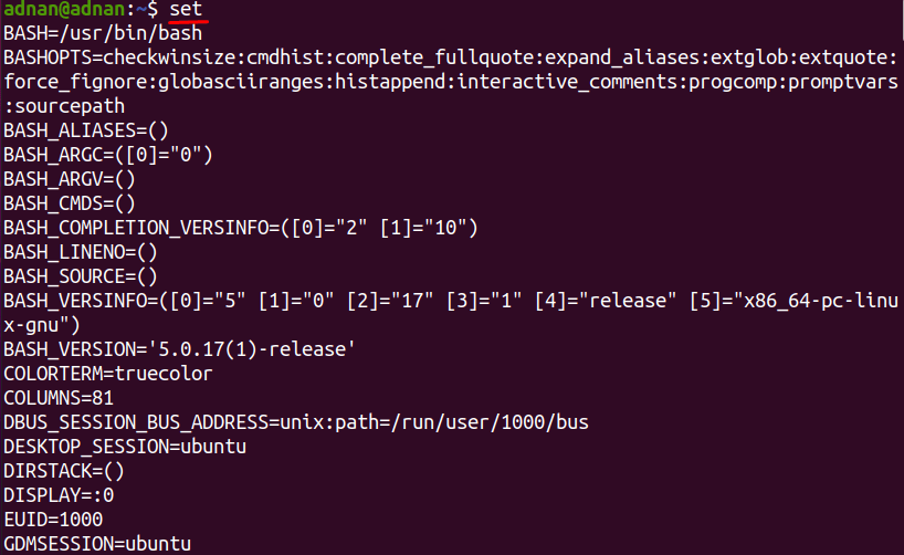 What are Bash Environment Variables