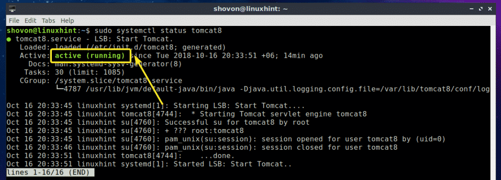 Install Tomcat on Ubuntu Linux Hint