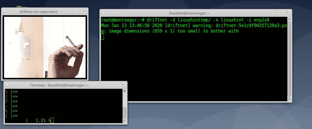 command tutorial and examples