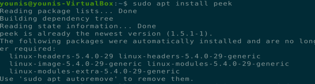 Top Screen Recorders on Ubuntu 20.04 Linux Hint