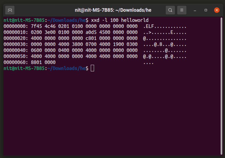 Best Hex Editors for Linux