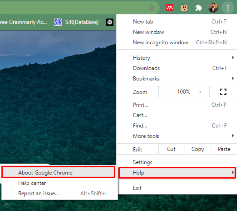 How to Reduce Chrome Memory Usage