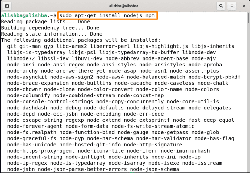 How to use aptget command on Debian 11