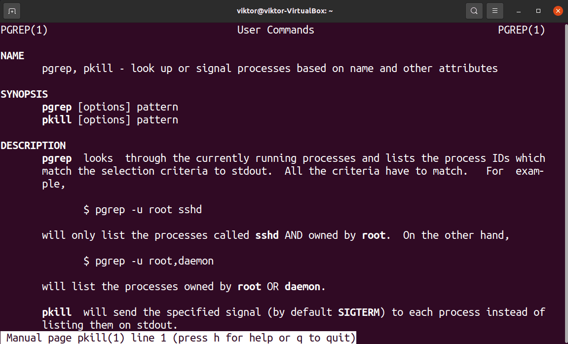Linux Kill Process by PID