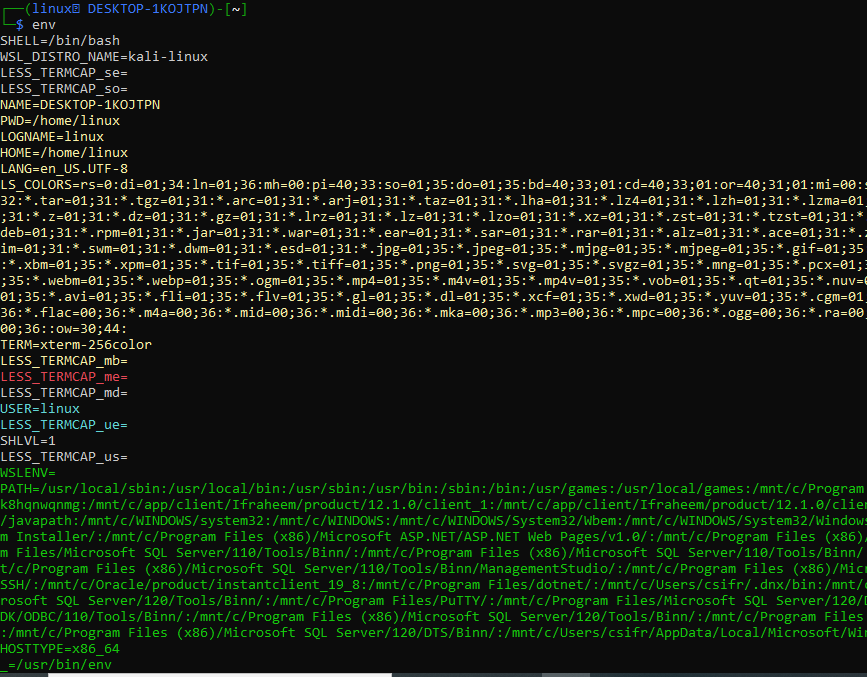 Git Bash Set an Environment Variable