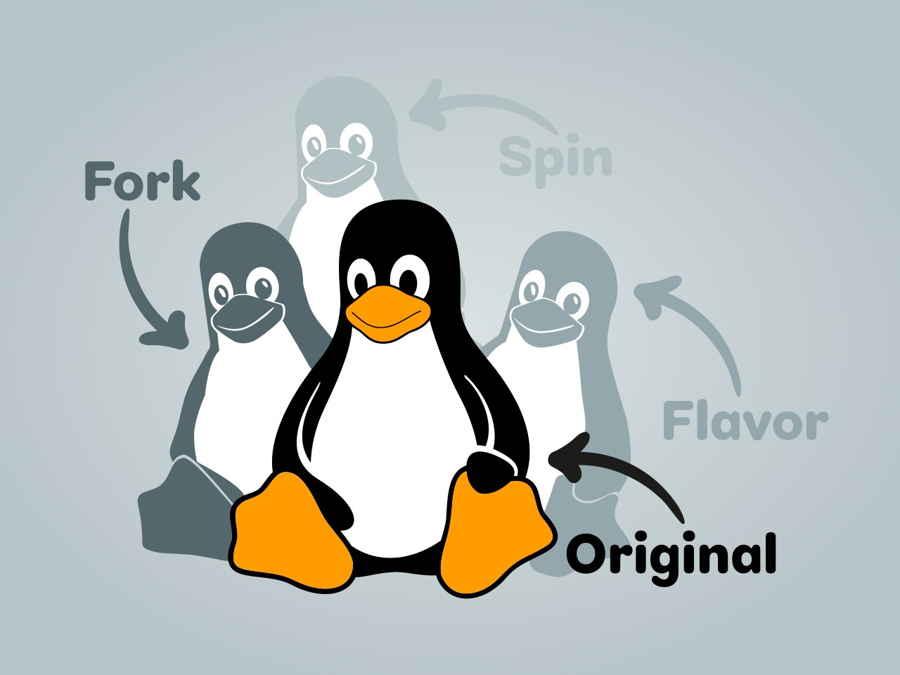 Different Types Of Linux Os