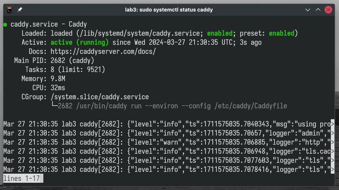 How to Set up Caddy as a Reverse Proxy